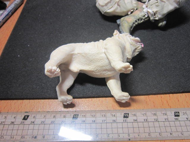 Z3動物部門 米白色款1/6精緻鬥牛犬模型一隻