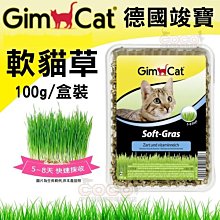 *COCO*竣寶GIMPET香味軟貓草(盒裝)100g親手DIY栽種新鮮貓草，纖維質幫助貓咪化毛