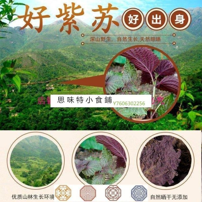 阿宓鋪子 思味特^新鮮正宗野生紫蘇葉干天然蘇子葉干泡茶食用香料500g