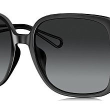 《名家眼鏡》PARIM 派麗蒙精品歐美黑色大方膠框太陽眼鏡76031 B1R【台南成大店】