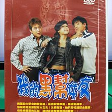 影音大批發-S17-004-正版DVD-韓劇【我的黑幫女友／共10片20集】-柳時元 安在懋 江聖妍(直購價)