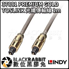 數位黑膠兔【 LINDY 林帝 37881 PREMIUM GOLD TOSLINK 光纖傳輸線 1m 】