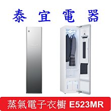 【泰宜電器】LG 樂金 E523MR 蒸氣電子衣櫥【另有B723MR／E523IR】