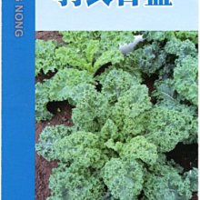 【野菜部屋~】E50 羽衣甘藍種子10公克 , 風味濃 , 採收期長 ,每包150元~