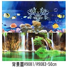 微笑的魚水族☆雙面背景圖【#9081/#9083瀑布+海水(高度50cm)】單買1尺長售價45元