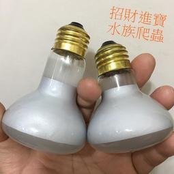 TY50W 聚熱燈泡日燈 太陽 陸龜 烏龜 蜥蜴 爬蟲 寵物 鸚鵡 刺蝟 狗 鼠 取暖燈泡 保溫燈泡 保暖燈泡 燈罩燈座