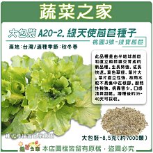 【蔬菜之家滿額免運】大包裝A20-2.綠天使萵苣種子8.5克(約7000顆) 桃園3號綠寶萵苣//成長快速。口感清爽甜脆