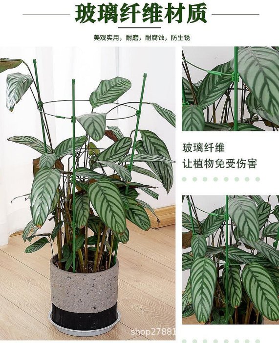 台灣現貨【爬籐花架】盆栽支撐架 藤蔓支架 爬藤架 花盆架 植物架 攀爬架 爬藤杆 環狀爬藤架 球型花架 園藝花架 支柱