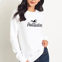 Hollister HCO 海鷗 車繡花朶LOGO 大學T  白色