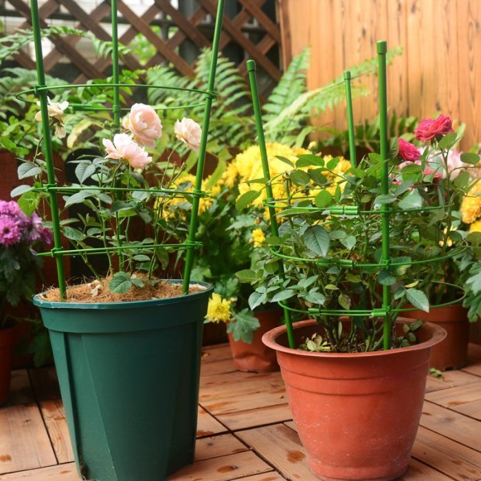 促銷打折 月季花盆花架爬藤架子室內鐵線蓮爬藤植物支柱桿戶外庭特價