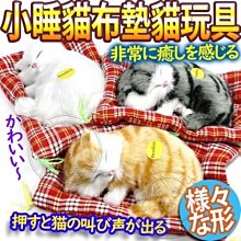 【🐱🐶培菓寵物48H出貨🐰🐹】DYY》仿真貓一按會叫小睡貓布墊貓玩具隨機出貨 特價139元(蝦)