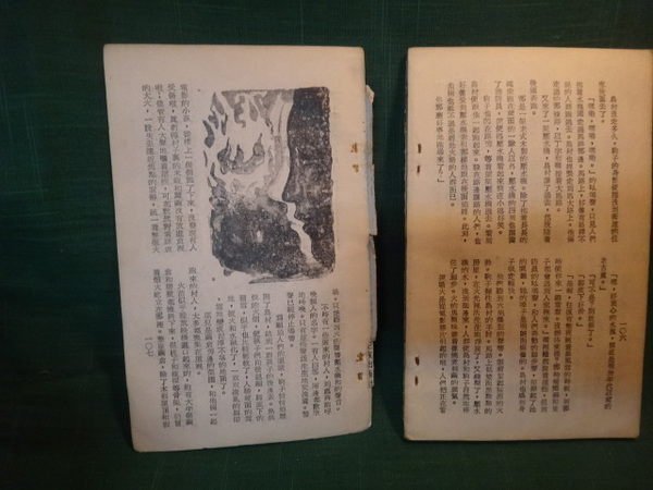 【愛悅二手書坊 12-25】雪鄉 諾貝爾文學獎得主作品 書籍脫頁