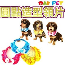 【🐱🐶培菓寵物48H出貨🐰🐹】DAB PET》圓點造型3分領片 (3款顏色) 特價199元