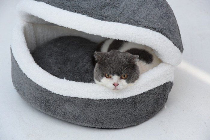 「寵愛有家」送毛毯~鈕釦款 可拆卸防風溫暖漢堡窩 貝殼窩 貓咪最愛~寵物窩 小款賣場