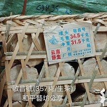 商品縮圖-7