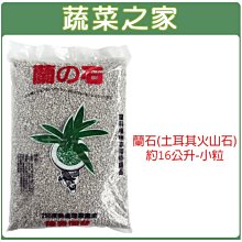 【蔬菜之家滿額免運】蘭石(土耳其火山石)約16公升-小粒※此商品運費請選擇宅配貨運※