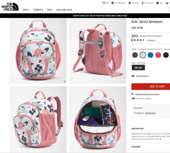 The north face sales youth sprout backpack