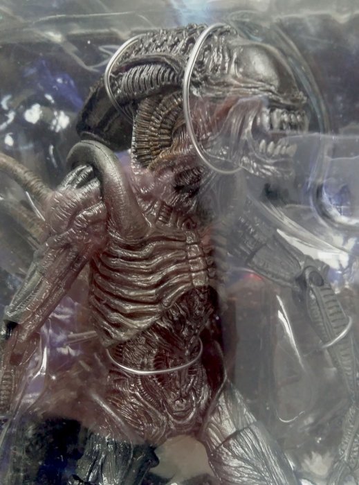 NECA ~ALIENS VS PREDATOR REQUIEM - ALIEN WARRIOR 異形 終極戰士 AVP