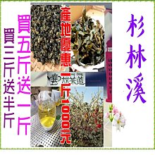 （杉林溪）手採高山茶※產地特價一斤1000元《優惠買三斤送半斤※超值買五斤送一斤》『壺說茶道』薄利多銷+物超所值