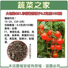 【蔬菜之家滿額免運00】大包裝G81.珍甜蕃茄種子0.5克(約195顆)  ※不適用郵寄掛號配送