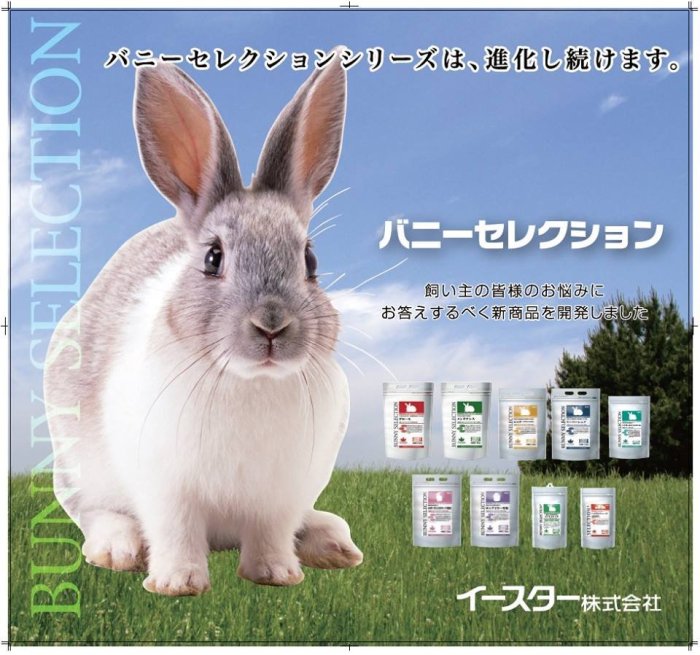 日本 Yeaster 愛情物語 BunnySelection BS 5歲 老兔飼料1.3kg-黃(超取最多三包)