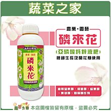 【蔬菜之家滿額免運002-A115】磷來花1公升(高％亞磷酸鈣鋅液肥)根部生長及開花期使用※不適用郵寄掛號配送※