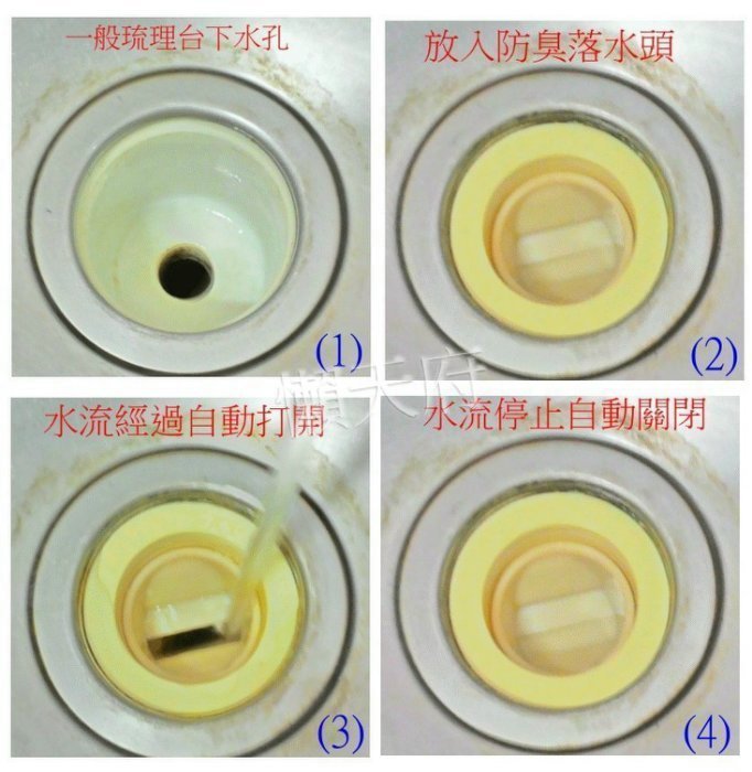 浴室排水孔用自動落水頭 浴室排水孔 防蟲防臭防蟑螂 防臭落水頭 DIY 地板落水頭 雙片上不來 除毛髮 除臭 防蟲