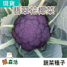 紫花椰菜 拍賣 評價與ptt熱推商品 21年6月 飛比價格