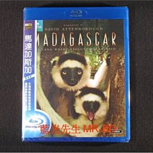 [藍光先生BD] 馬達加斯加 Madagascar BD-50G 雙碟裝 ( 得利公司貨 ) - BBC 英國廣播公司