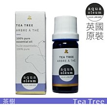 AO 茶樹純精油 10ml。Tea Tree。Aqua Oleum 英國原裝。花草堂
