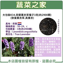 【蔬菜之家滿額免運00K34】大包裝.荷蘭薰衣草種子3克(約2900顆)(狹葉薰衣草)※此商品運費請選宅配※