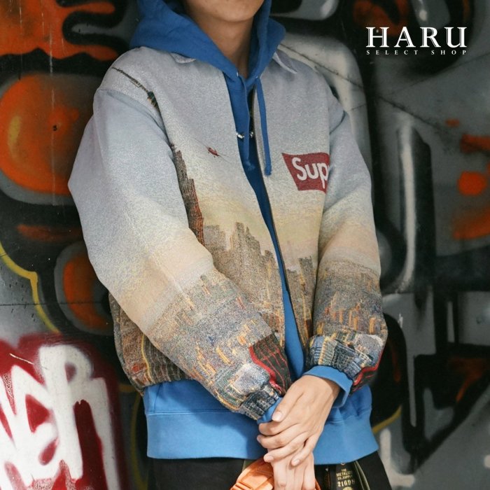 大得価最新作S Supreme Aerial Tapestry Harrington JKT ブルゾン