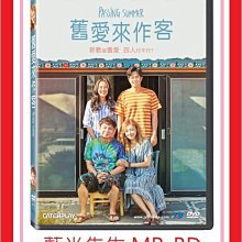 [藍光先生DVD] 舊愛來作客 Passing Summer (威望正版)