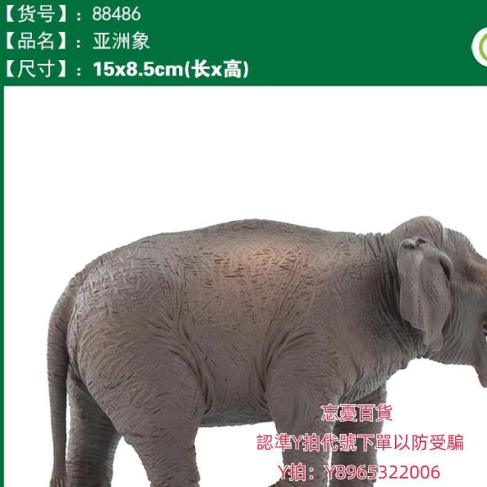 仿真模型英國CollectA我你他仿真野生動物模型玩具認知大象88486亞洲象