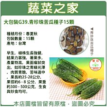 【蔬菜之家滿額免運00G39】大包裝.青珍珠苦瓜種子15顆※此商品運費請選宅配※