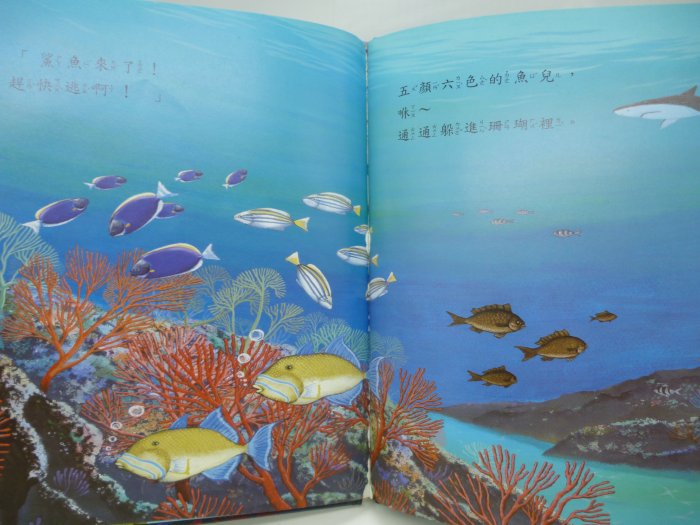 【月界二手書店2】敏捷殺手：鯊魚－小小動物奇觀系列．精裝本（絕版）_徐廷兒_金境秀_京中玉出版　〖少年童書〗CNH