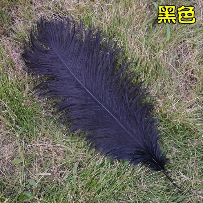 5色 羽毛 鴕鳥羽毛(40-45cm)DIY配件 硬羽毛 天然羽毛 軟羽毛 彩色羽毛 鴕鳥毛【P550021】塔克百貨