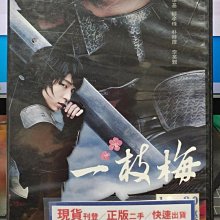 影音大批發-S163-正版DVD-韓劇【一枝梅 全20集5碟】-李準基 韓孝珠 朴時厚 李英雅(直購價)