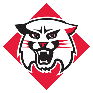 college team logo