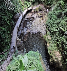 宜蘭林美石磐步道桐花