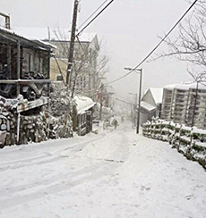 拉拉山賞雪