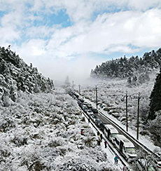 武陵農場賞雪