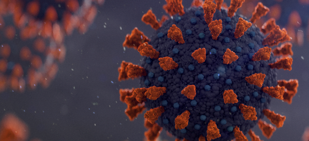 Grafische Darstellung eines Coronavirus