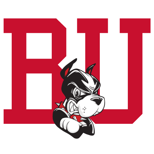 Boston University Terriers