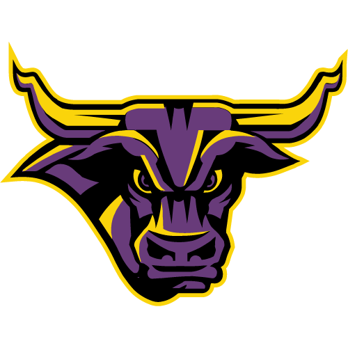 Minnesota State Mavericks