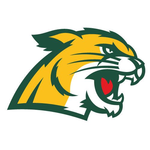 Northern Michigan Wildcats