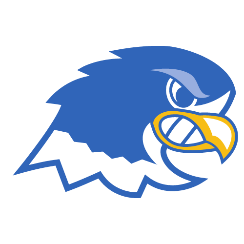 Notre Dame College Falcons