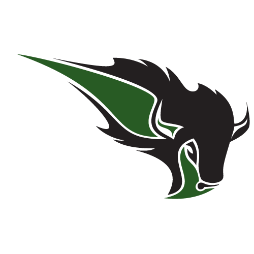 Oklahoma Baptist Bison