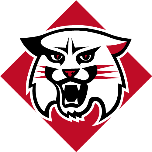 Davidson Wildcats