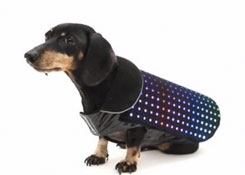 This Gadget Turns your Dog into a Disco Ball, Daniel Howley